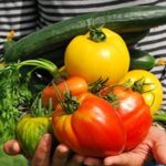 Ambiente Nutritivo