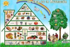 Casa Nutrición