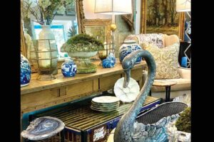 Gia Nutriology Manzanillo