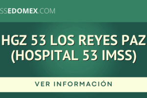 IMSS Hospital General de Zona 53