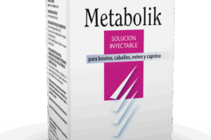 Metabolik