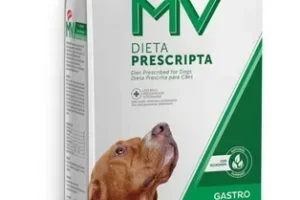 Nutrición MV