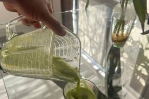 Nutrióloga Priscila Topete