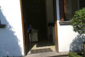 nutriologos en las margaritas, México