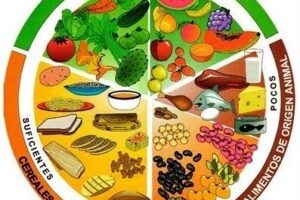 S.S Nutrición