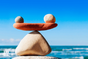Vida en Balance